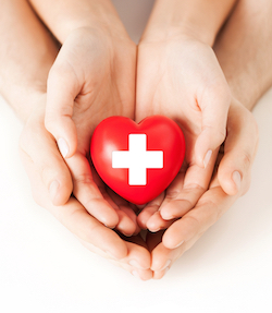 Picture of Adult hands cupping a young child's hands in theirs open. They are holding a medical heart that has a cross on it/